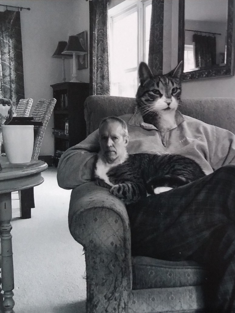 dave newhouse cat.jpg